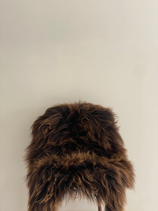 Bruin lange haren